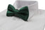Mens Green & Silver Patterned Bow Tie