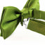 Mens Light Green Solid Plain Colour Bow Tie
