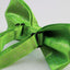 Mens Light Green Sparkly Glitter Patterned Bow Tie