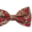 Mens Maroon, Green & Cream Paisley Cotton Bow Tie & Pocket Square Set