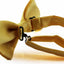 Mens Matt Solid Plain Yellow Colour Bow Tie