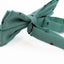 Mens Mint Preppy Insects Patterned Cotton Bow Tie