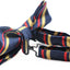 Mens Navy, Gold & Red Striped Bow Tie
