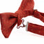 Mens Orange Multicoloured Star Cotton Bow Tie