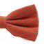 Mens Orange With Green Star Patterned Cotton Bow Tie