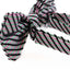 Mens Pink & Green Striped Patterned Cotton Bow Tie