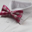 Mens Pink & White Cotton Bow Tie