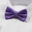 Mens Purple Plain Coloured Checkered Bow Tie