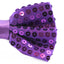 Mens Purple Sequin Patterned Bow Tie