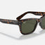 Mens Ray Ban Sunglasses Rb2283 Burbank Polished Havana/ Green Sunnies - Xl