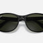 Mens Ray Ban Sunglasses Rb4374 Polished Black/ Green Sunnies - Xl