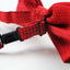 Mens Red Polka Dot Patterned Bow Tie