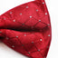 Mens Red With Silver Patterned Bow Tie