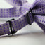 Mens Violet Polka Dot Patterned Bow Tie