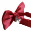 Mens Watermelon Red Solid Plain Colour Bow Tie