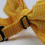 Mens Yellow Plain Coloured Bow Tie With White Polka Dots