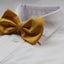 Mens Yellow Plain Coloured Bow Tie With White Polka Dots