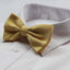 Mens Yellow Polka Dot Patterned Bow Tie