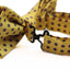 Mens Yellow, Red & Navy Flower Pattern Bow Tie