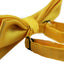 Mens Yellow With Silver Stars Matching Bow Tie & Pocket Square Set