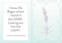 Mindfulness: Meditations & Inspirations Mini Book