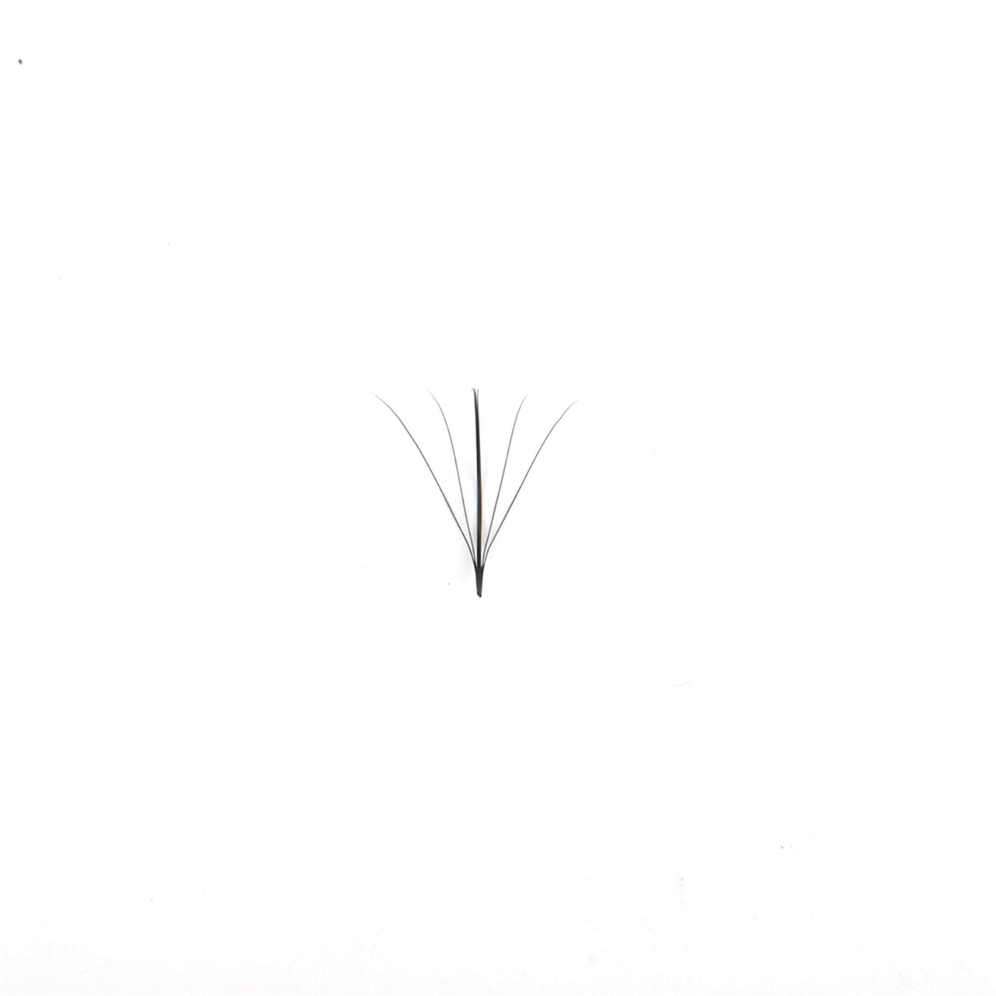Miosh Eyelash Extensions - 5D Premade Wispy Spike Fans Eye Lash