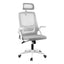 Artiss Ergonomic Office Chair Computer Desk Chairs Headrest Adjustable Grey