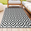 OR-4X6FT-CROSS-BK-202509011242-06.jpg