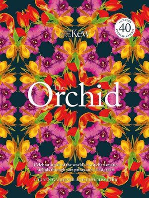 Orchid