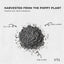 Orku 400g Poppy Seeds Unwashed Papaver Somniferum For Baking and Decorating
