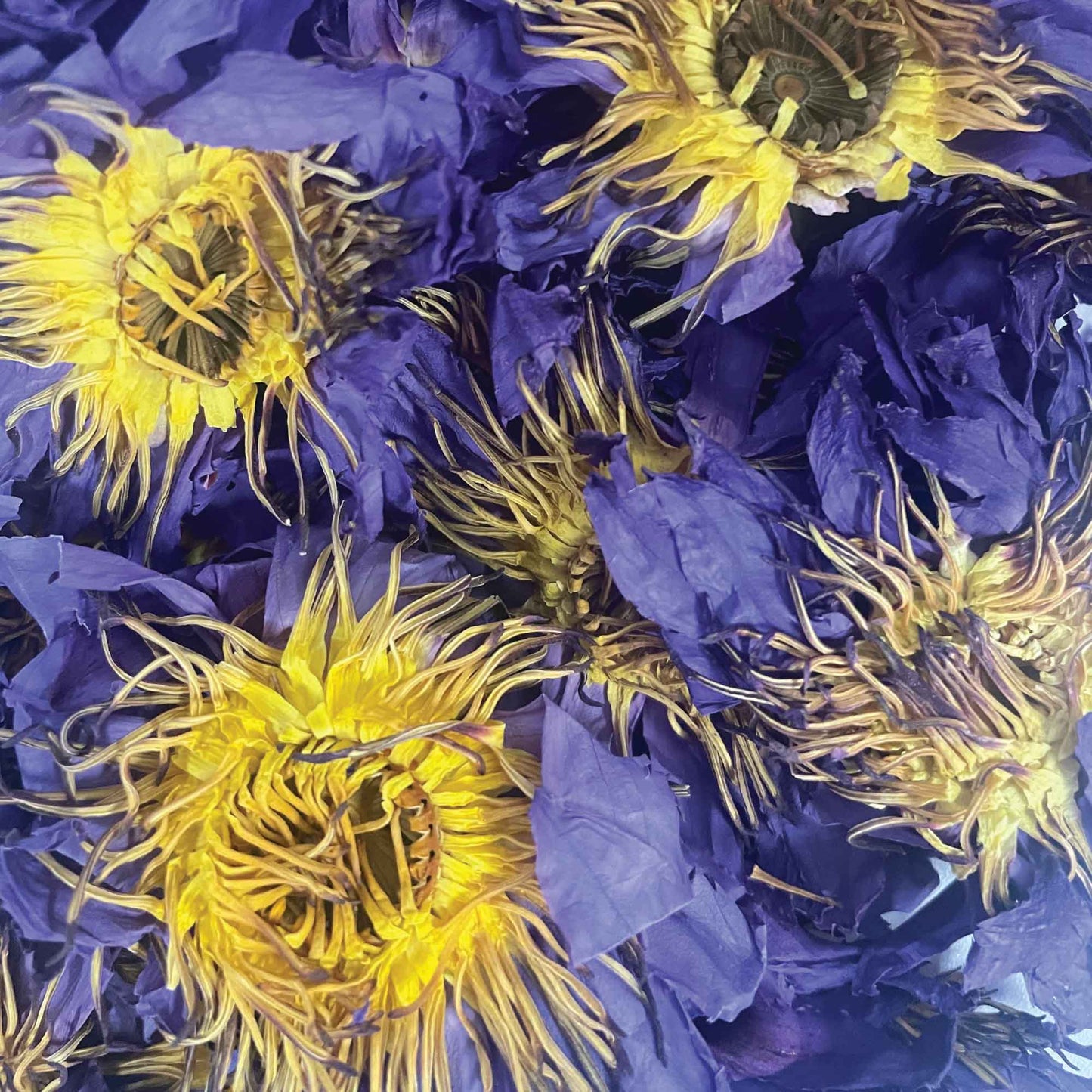 Orku 500g Dried Blue Lotus Flowers - Whole Open Lily Nymphaea Caerulea