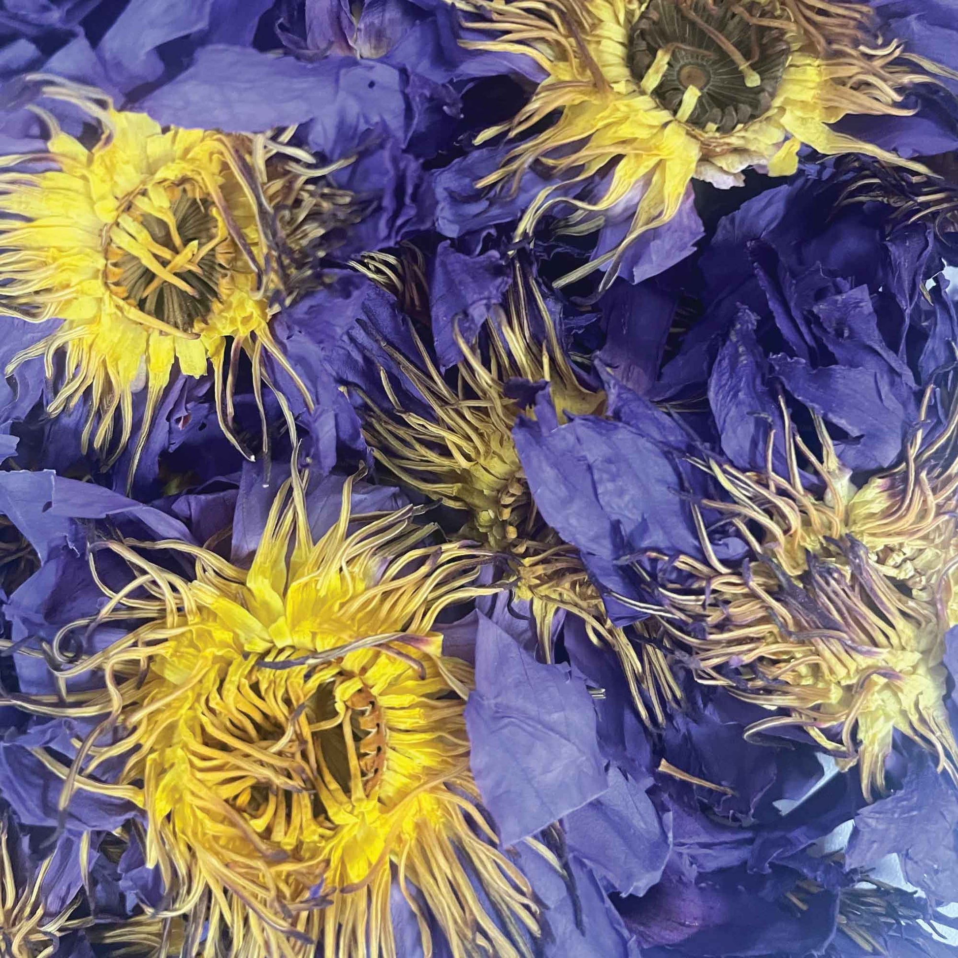 Orku 50g Dried Blue Lotus Flowers - Whole Open Lily Nymphaea Caerulea