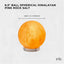 Orku 16 cm Ball Shape Himalayan Pink Salt Lamp - Carved Sphere Night Light