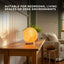 Orku 16 cm Ball Shape Himalayan Pink Salt Lamp - Carved Sphere Night Light