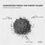Orku 800g Poppy Seeds Unwashed Bucket Papaver Somniferum For Baking Decorating