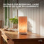 Orku Cylinder Shape Himalayan Pink Salt Lamp - Hand Carved Tube Night Light