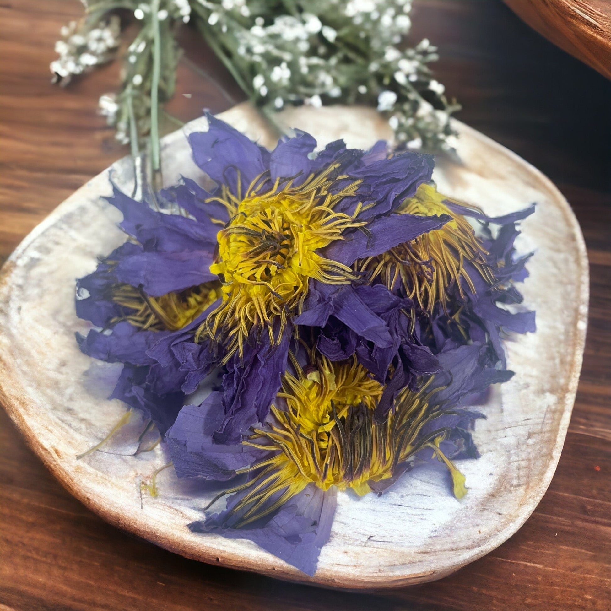 Orku Dried Blue Lotus Flowers - Whole Open Lily Nymphaea Caerulea