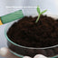 Orku Potassium Bicarbonate Powder FCC Food Grade - Baking Brewing Bulk