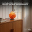 Orku Rose Shaped Himalayan Pink Salt Lamp - Hand Carved Flower Night Light