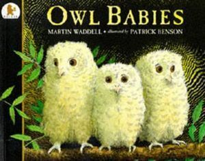 Owl Babies