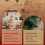 PAPER-XMAS-TR-100-WH-06.jpg