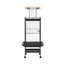 PET-BIRDCAGE-H155-BK-189525-02.jpg