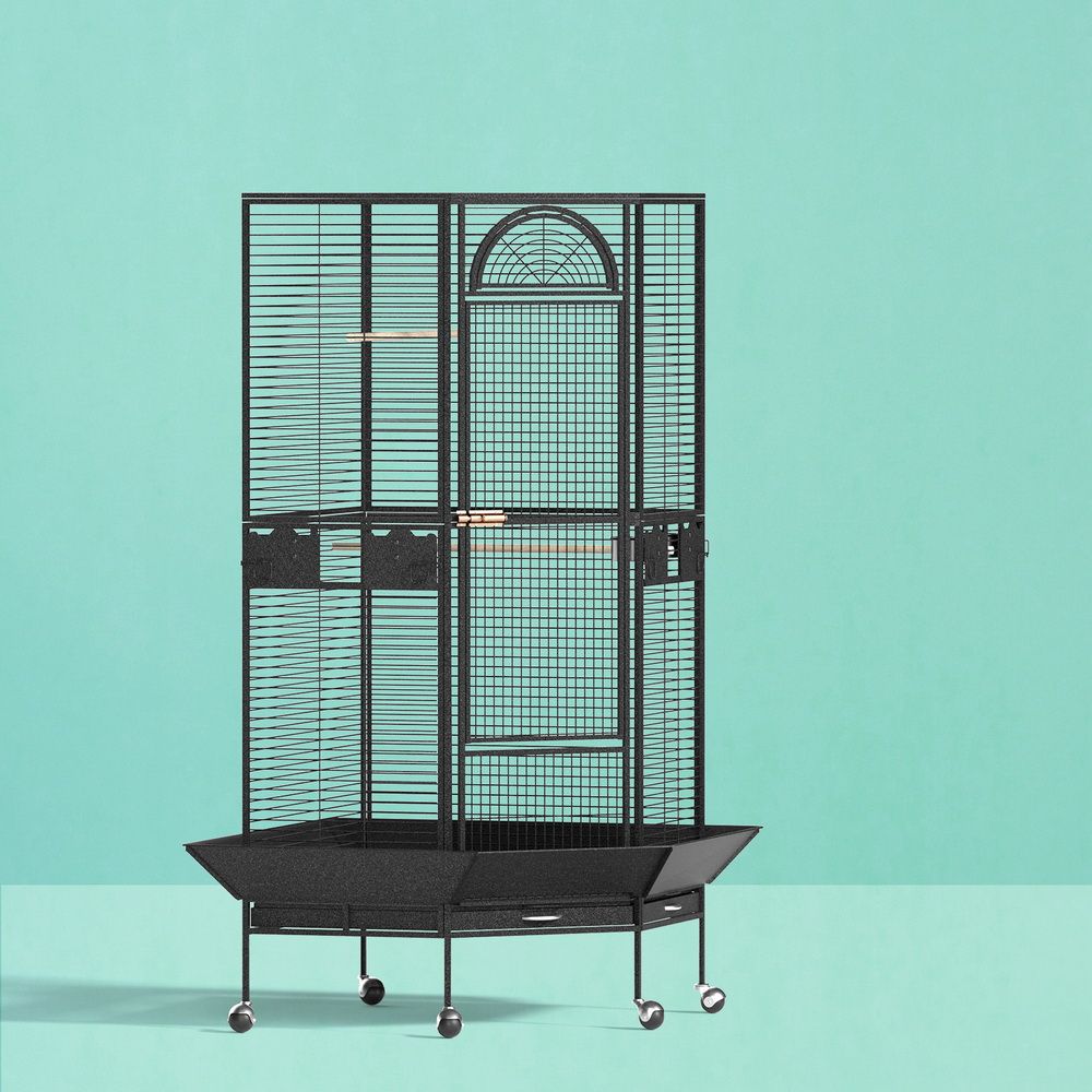 PET-BIRDCAGE-H161-BK-AB-06.jpg