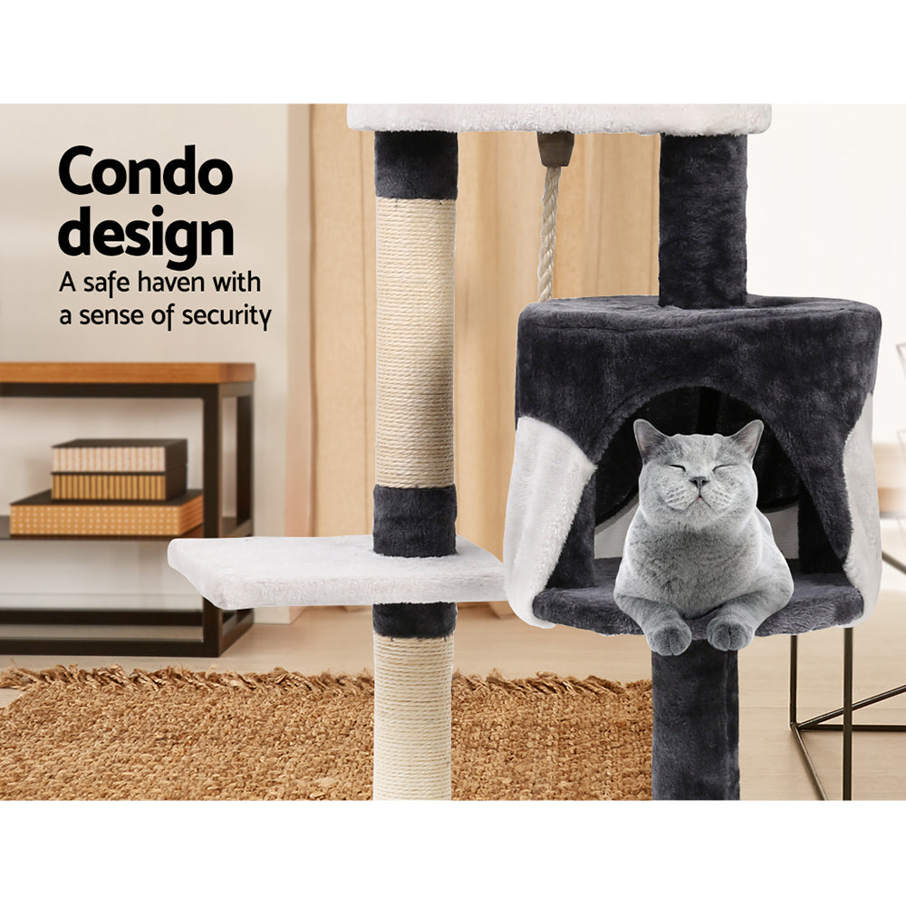 PET-CAT-14711-GR-14586-06.jpg