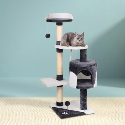 PET-CAT-14711-GR-14586-07.jpg
