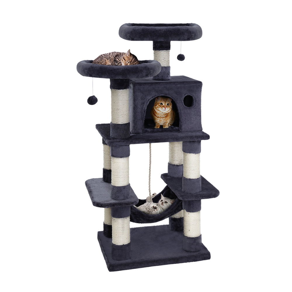 PET-CAT-706FSB-GR-22072-00.jpg