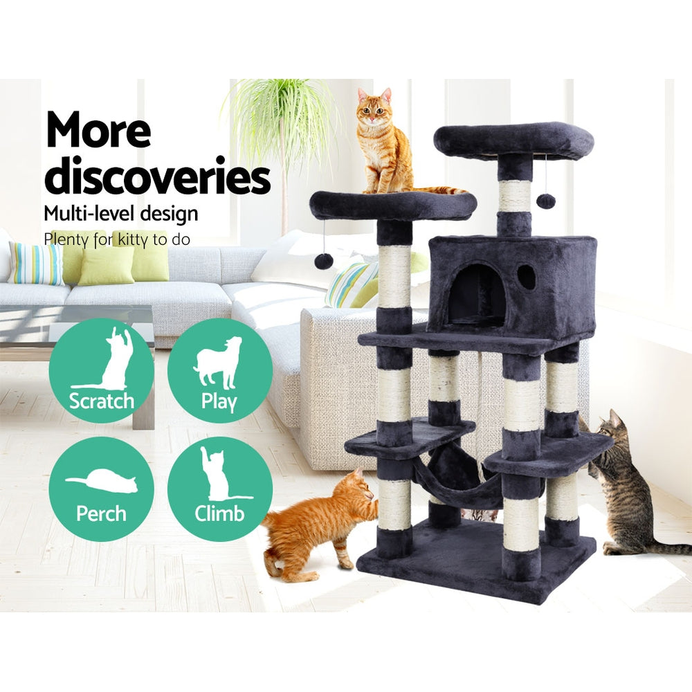 PET-CAT-706FSB-GR-22072-02.jpg