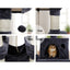 PET-CAT-706FSB-GR-22072-05.jpg