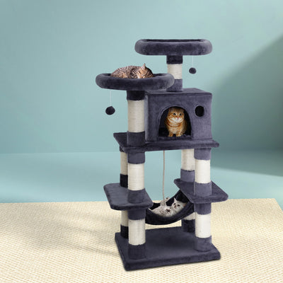 PET-CAT-706FSB-GR-22072-06.jpg