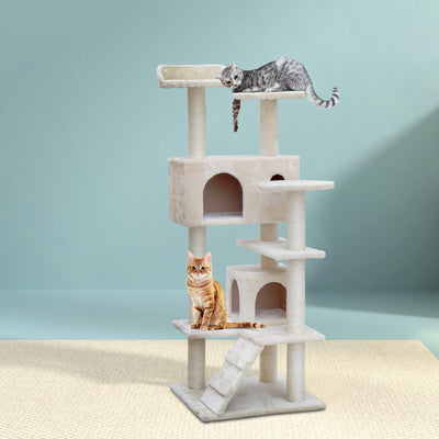 PET-CAT-801F-BE-5074-07.jpg
